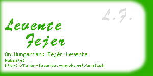 levente fejer business card